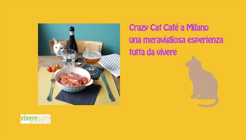 Sei amante dei gatti? Sei amante dei gatti?